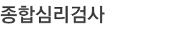 종합심리검사
